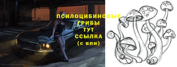 мдпв Бронницы