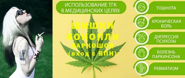 сатива Верея