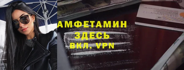 ГАЛЛЮЦИНОГЕННЫЕ ГРИБЫ Богданович