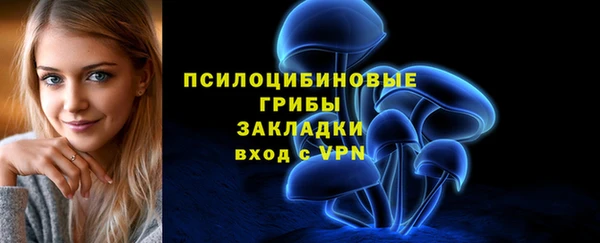 гашик Верхнеуральск