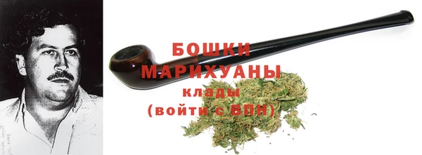 ГАЛЛЮЦИНОГЕННЫЕ ГРИБЫ Богданович