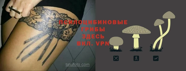 мескалин Бородино