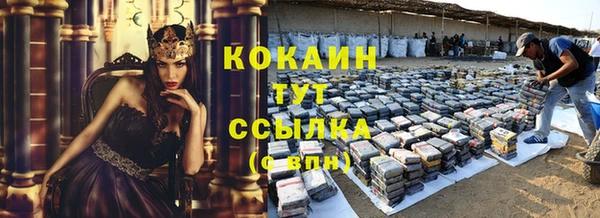 mdpv Богородск