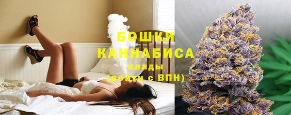 мдпв Бронницы
