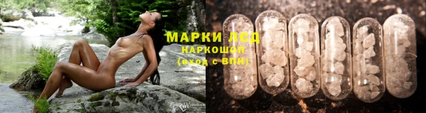 ГАЛЛЮЦИНОГЕННЫЕ ГРИБЫ Богданович